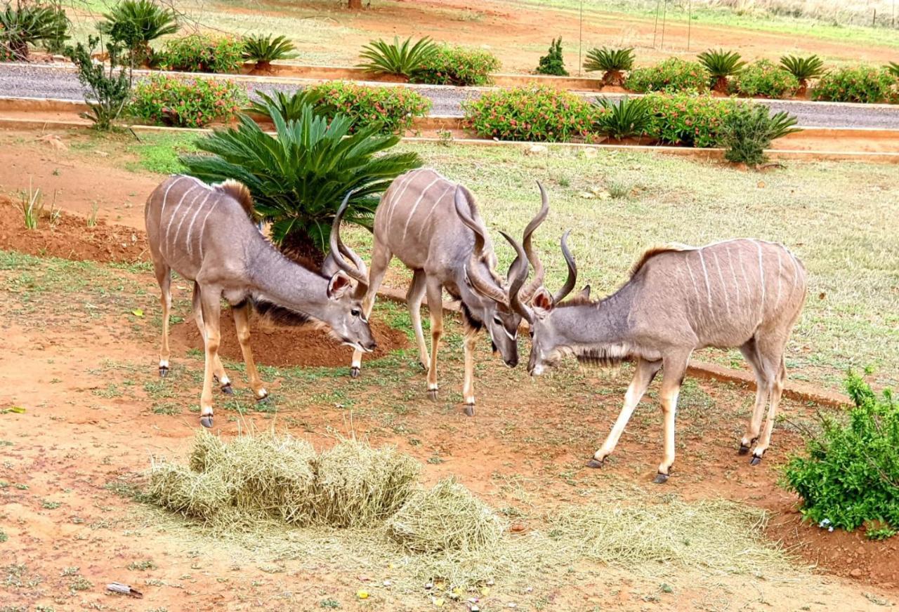 라이덴버그 66 Sharalumbi Wildlife Estate 아파트 외부 사진